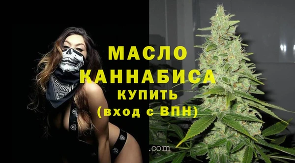стаф Пересвет