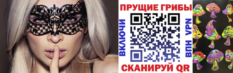 Псилоцибиновые грибы MAGIC MUSHROOMS  Покровск 